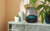 Harman Kardon Aura Studio 4 - comprar online