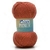 PREMIUM CISNE 100GR