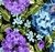 Liganete Estampada Floral 4