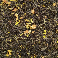 GREEN JASMINE