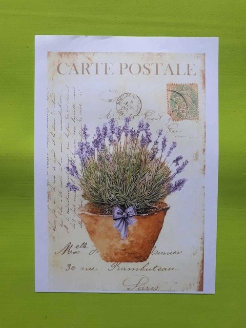 LAMINA DE DECOUPAGE DM013