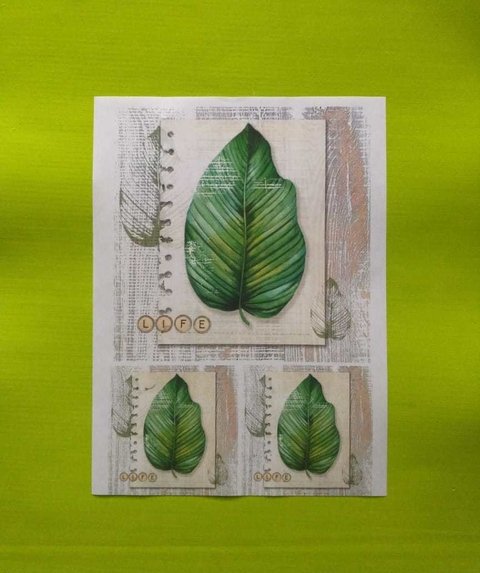 LAMINA DE DECOUPAGE A4 DM058