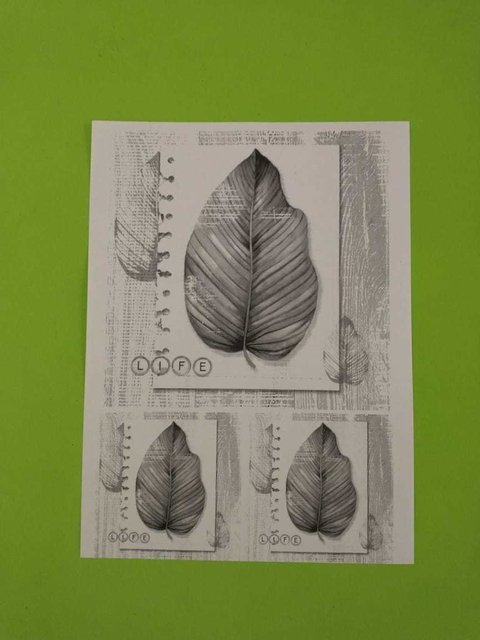 LAMINA DE DECOUPAGE A4 DM062