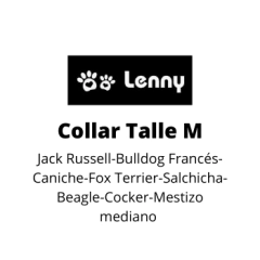 Collar Arya - Lenny