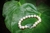 Pearl bracelet with silver clasp