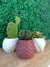 Set Macetas impresión 3D - Alto 6 cm + Plantas - Pack x 3
