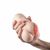 Imagem do Baixar Imagens Masturbador Masculino Formato Vagina e Ânus - SI Código do Produto: 8872 |