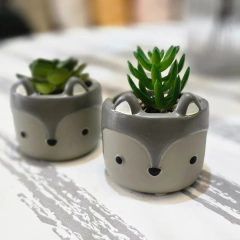 SUCULENTA ZORRITO - Enamorart