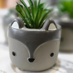 SUCULENTA ZORRITO - comprar online