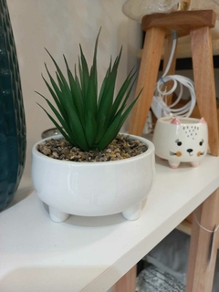 MACETA CACTUS - comprar online