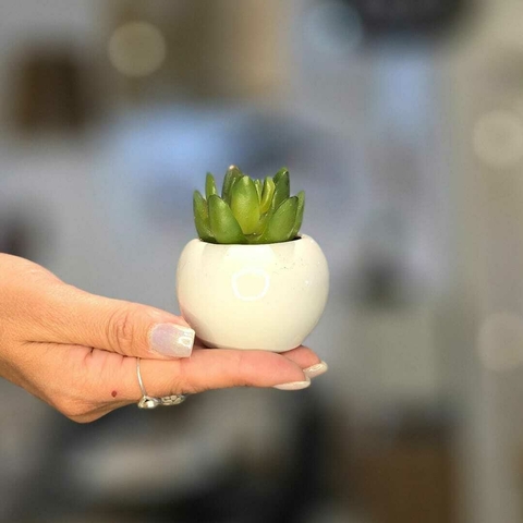 MINI MACETA CERAMICA ARTIFICIAL