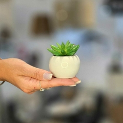 MINI MACETA CERAMICA ARTIFICIAL - comprar online