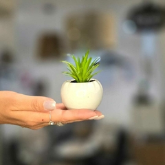 MINI MACETA CERAMICA ARTIFICIAL en internet