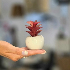 Imagen de MINI MACETA CERAMICA ARTIFICIAL