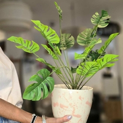 PLANTA HOJA CALADA 55CM