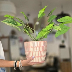 PLANTA HOJAS VERDES 50CM - comprar online