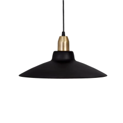 COLGANTE DE TECHO PLATO NEGRO