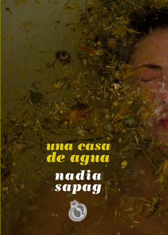 Una casa de agua. Nadia Sapag