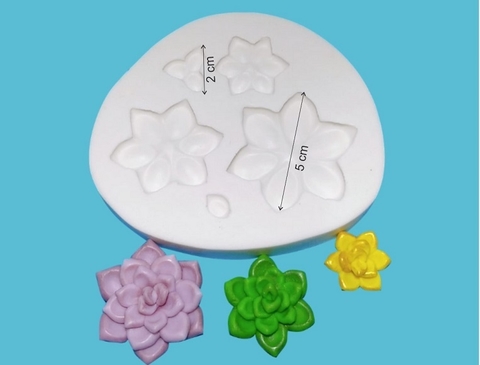 molde-de-silicone-suculentas