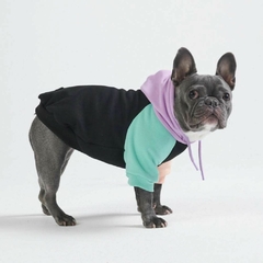 Moletom Pet Color Block na internet