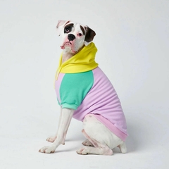 Moletom Pet Color Block VI - comprar online