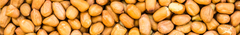 Banner de la categoría VARIEDADES MANI