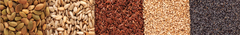 Banner de la categoría SEMILLAS