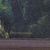 ERNST BACHMANN - Óleo sobre tela Paisagem com casa na internet