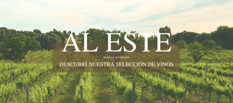 Carrusel Bodega Al Este