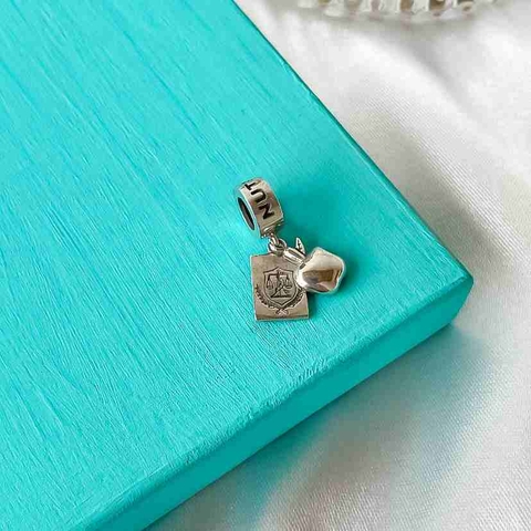 Berloque profissão nutrição prata 925