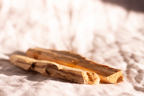 Palo Santo – Incenso Natural para Purificação e Proteção