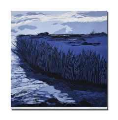 Campo y río II