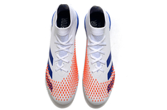 Adidas Predator Mutator 20.1 FG na internet