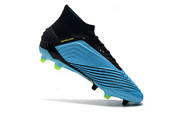 adidas Predator 19.1 FG na internet