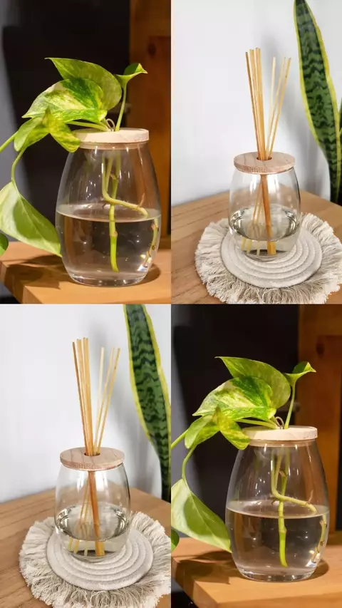 frasco bombé - comprar online