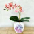 Vaso Aqua Rosa com flores permanentes