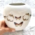 Vaso Borboletou