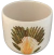 Cachepot Ravenala na internet