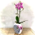 Vaso Bee - comprar online