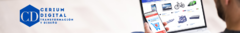 Banner de la categoría Armado y Gestión de Tienda Online (Ecommerce)