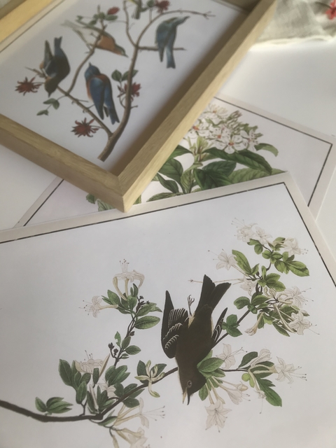 Natulareza Vintage