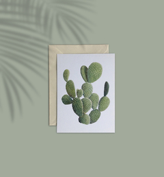 Cartão Cactos - Opuntia Microdasys