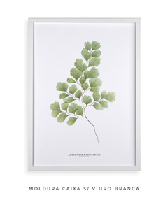 Quadro Decorativo Avenca - loja online