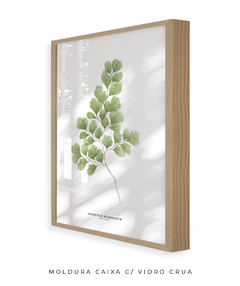 Quadro Decorativo Avenca - comprar online