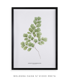 Quadro Decorativo Avenca - loja online