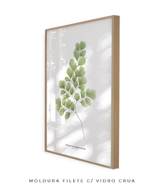 Quadro Decorativo Avenca - loja online