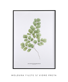 Quadro Decorativo Avenca - comprar online