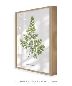 Quadro Decorativo Avenca II - comprar online