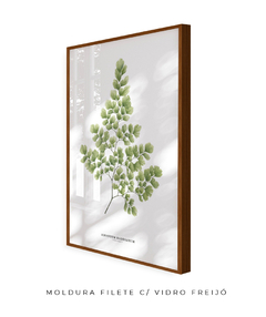 Quadro Decorativo Avenca II - comprar online