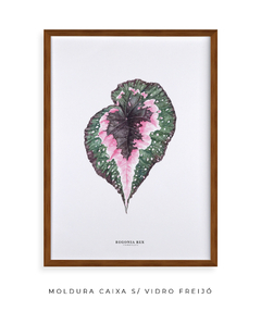 Quadro decorativo Begonia Rex - Flowersjuls - Quadros botânicos decorativos | Aquarelas autorais